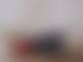 Arctic Penguin & Vital Spark (2019)
Ecosse
Aquarelle (57x42cm)