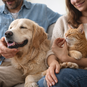 Η αμφίδρομη δύναμη της συντροφιάς: Πώς τα κατοικίδια γίνονται οι ανύποπτοι θεραπευτές μας