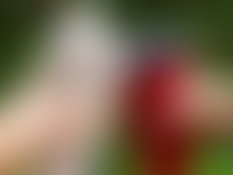 Ξεκίνα με το δικό σου θερμός: Μικρές συνήθειες, μεγάλη διαφορά