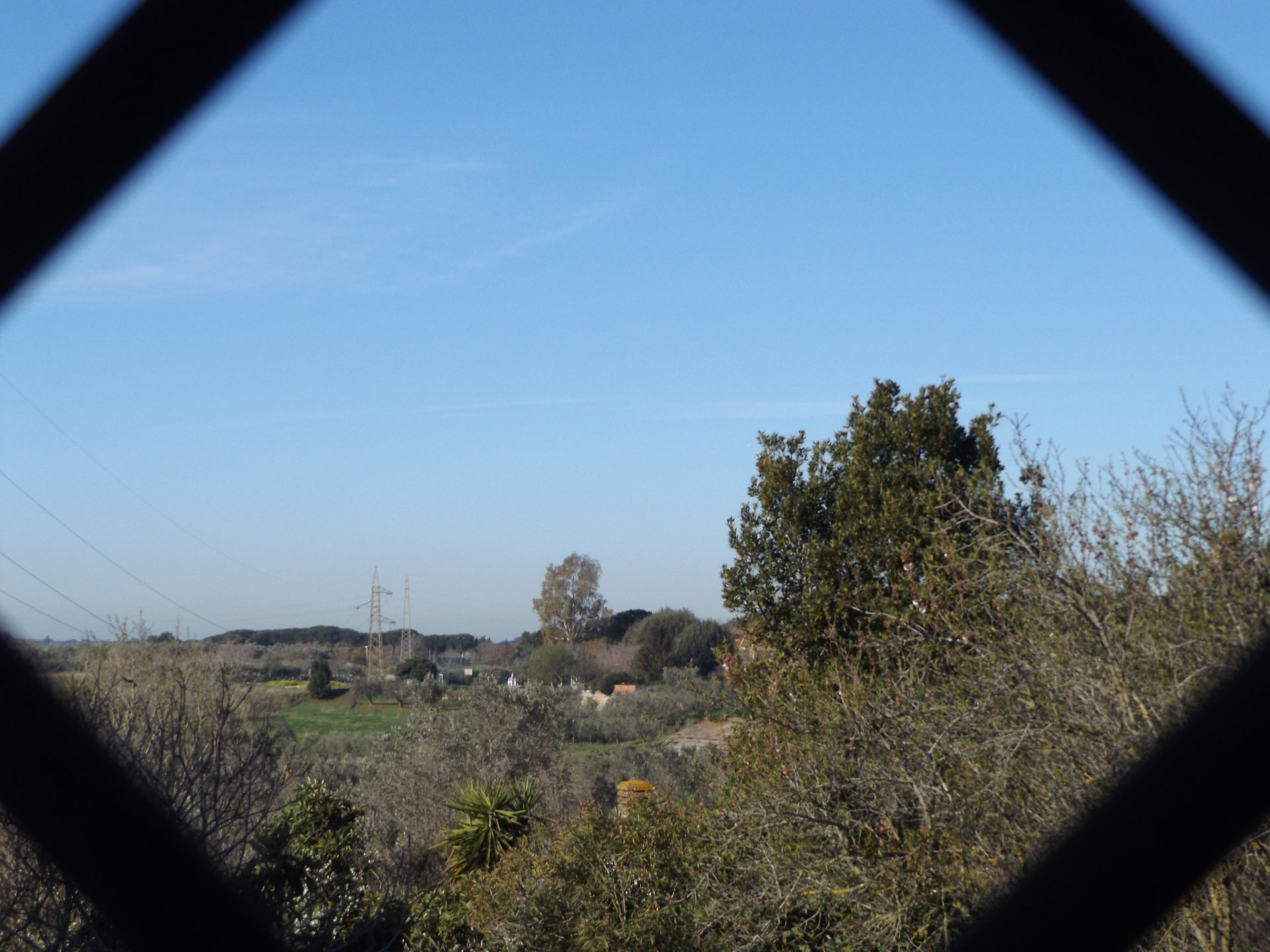 DSCF5414