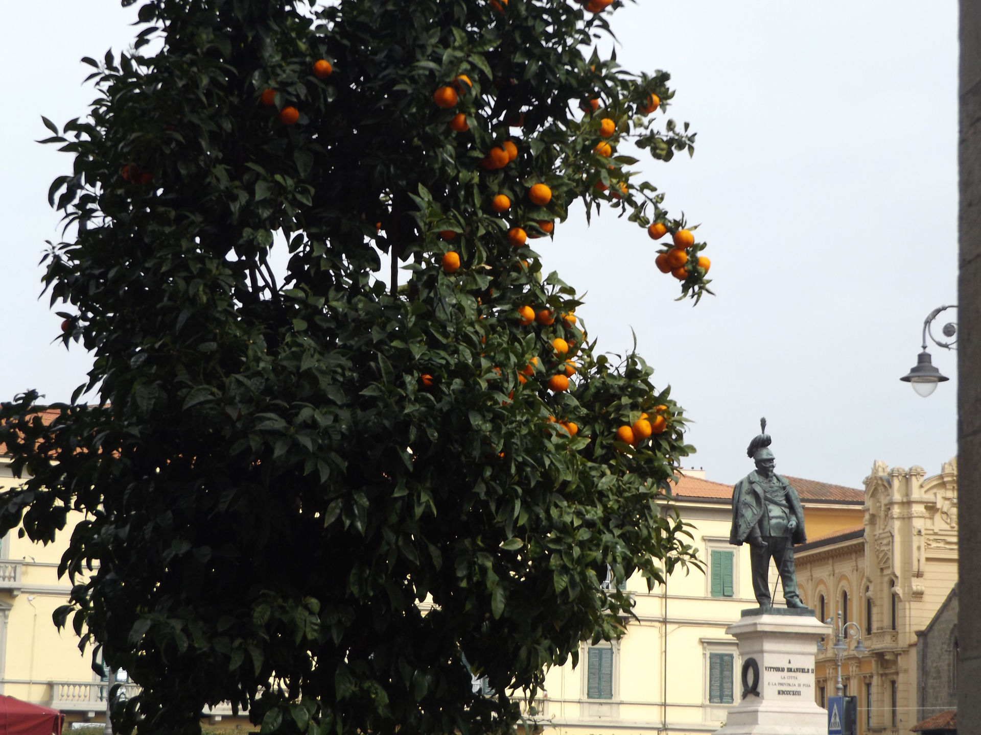 DSCF6080