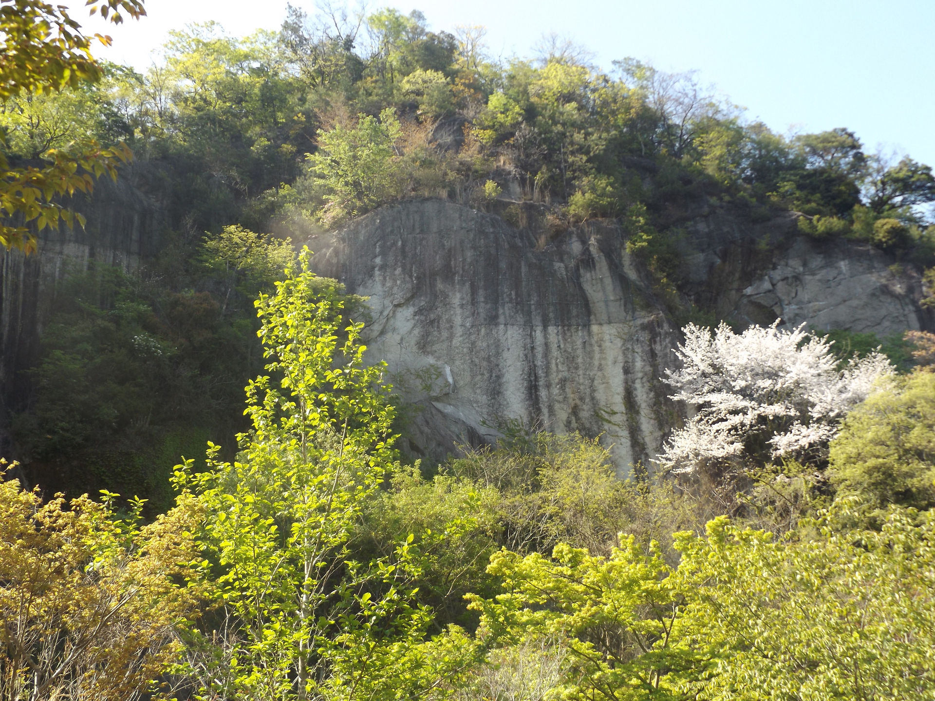 DSCF1108