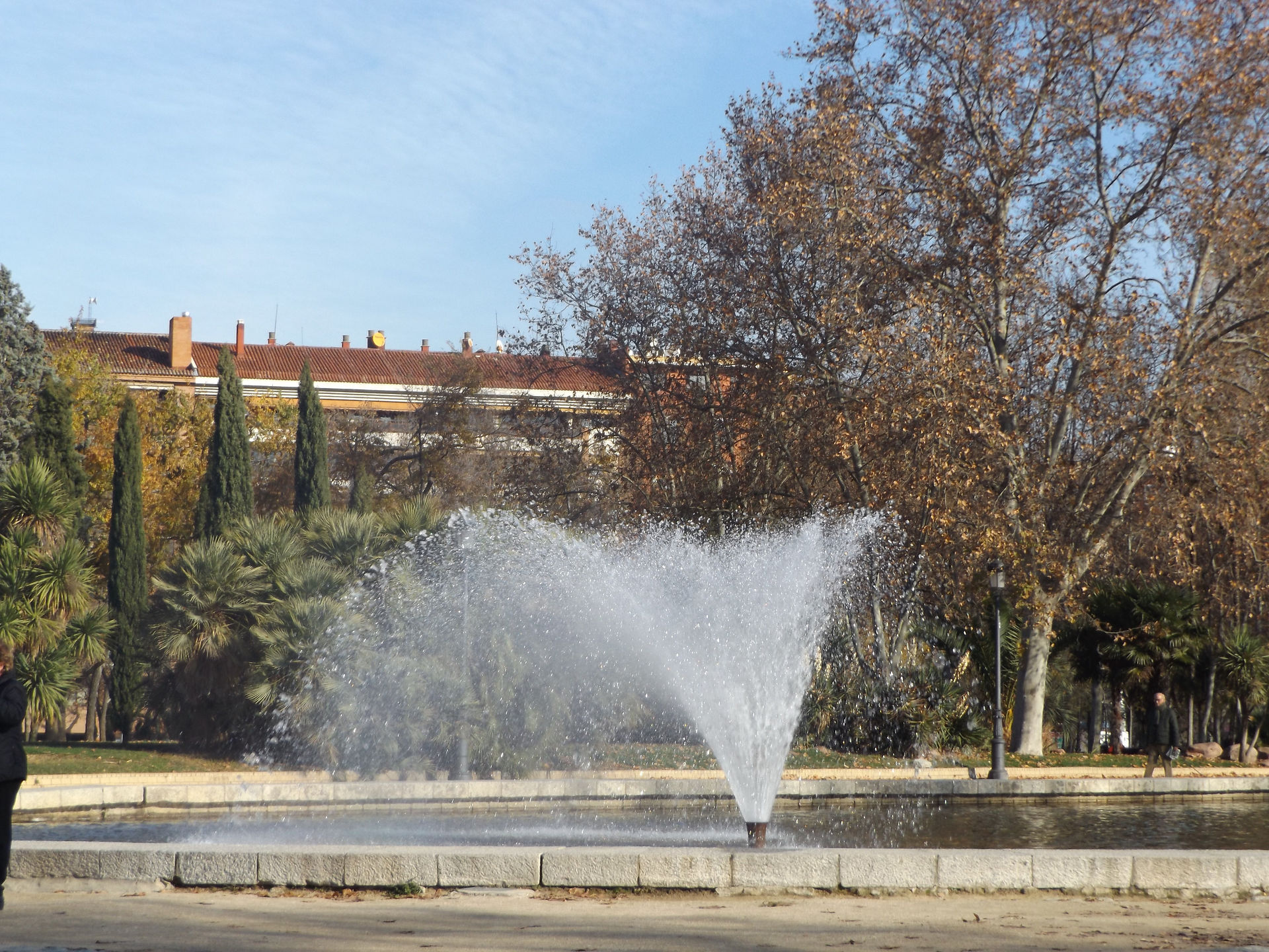 DSCF4185