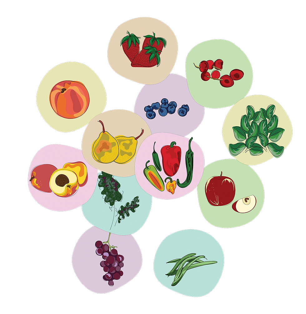 Vibrant fruit and vegetable pattern featuring hand-drawn organic produce.