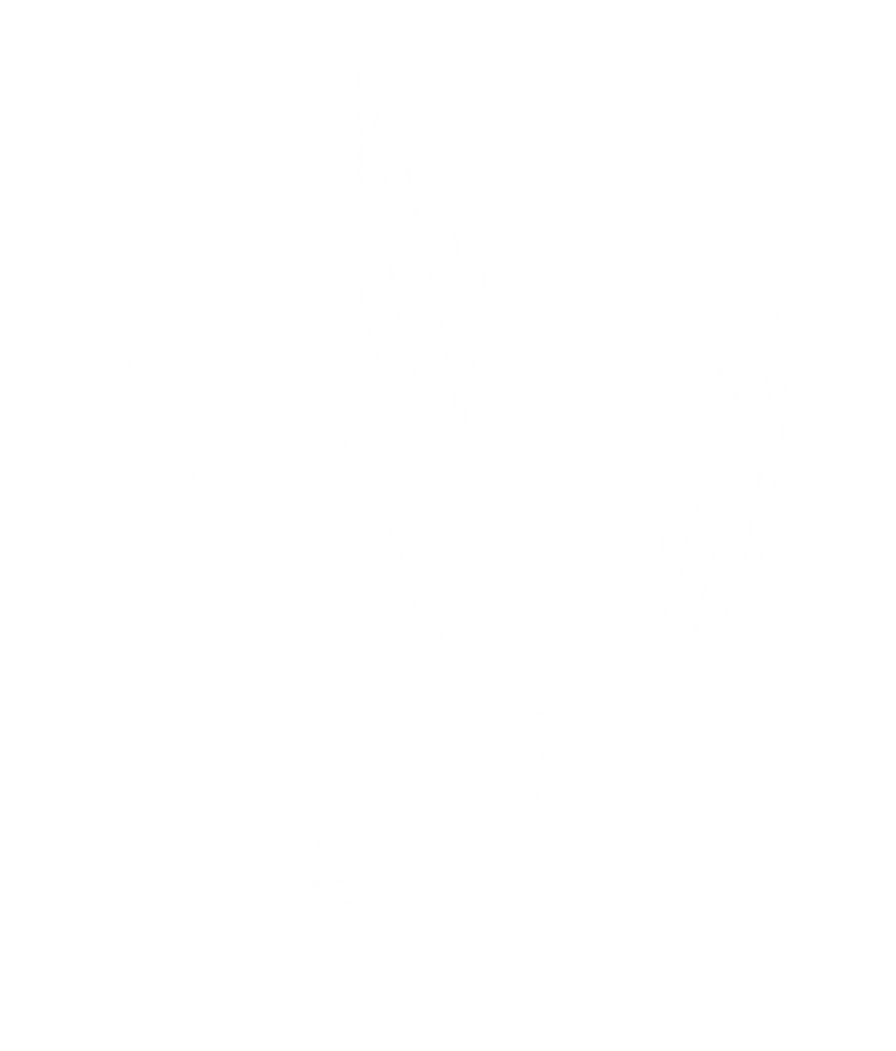 Modern tropical leaf pattern with a sustainable design approach