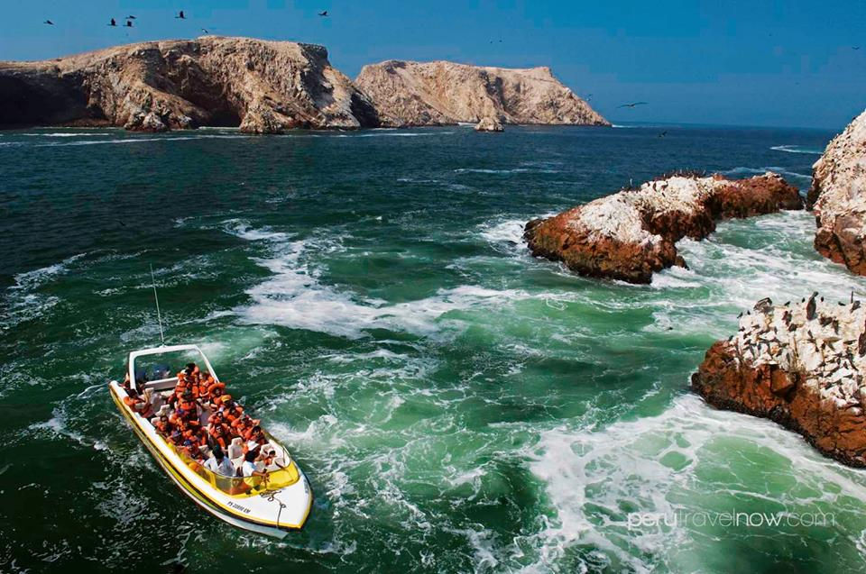Reserva de Paracas