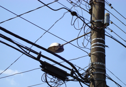 Captura_de_Tela_2016-01-13_às_08.01.25