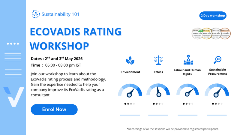 Understand Ecovadis workshop by Sustainability 101