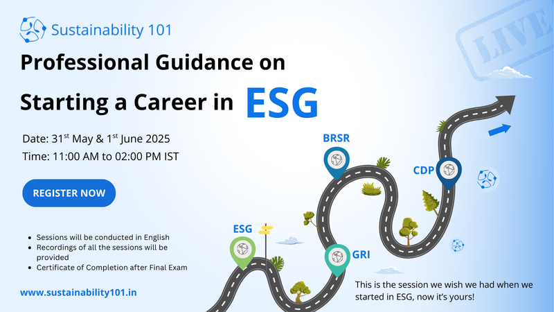 Professional Guidance on Starting a Career in ESG
