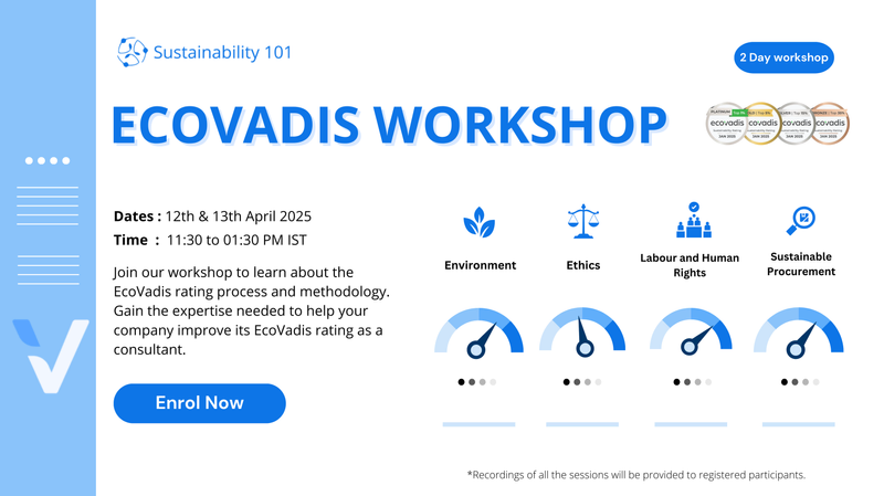 Understand Ecovadis workshop by Sustainability 101