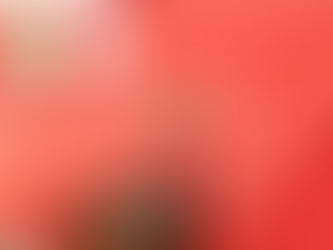 波黑巴尼亚卢卡大学孔子学院举行启动仪式