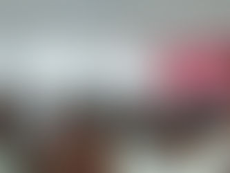 Успјешно завршен уводни курс кинеског језика