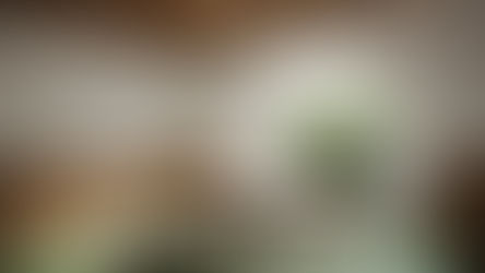 neuroarquitectura arquitecto guadalajara