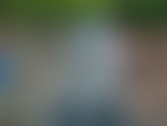 Blue Star Raises the Roof