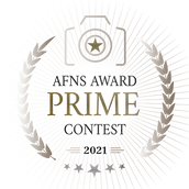 Award 2(1).png