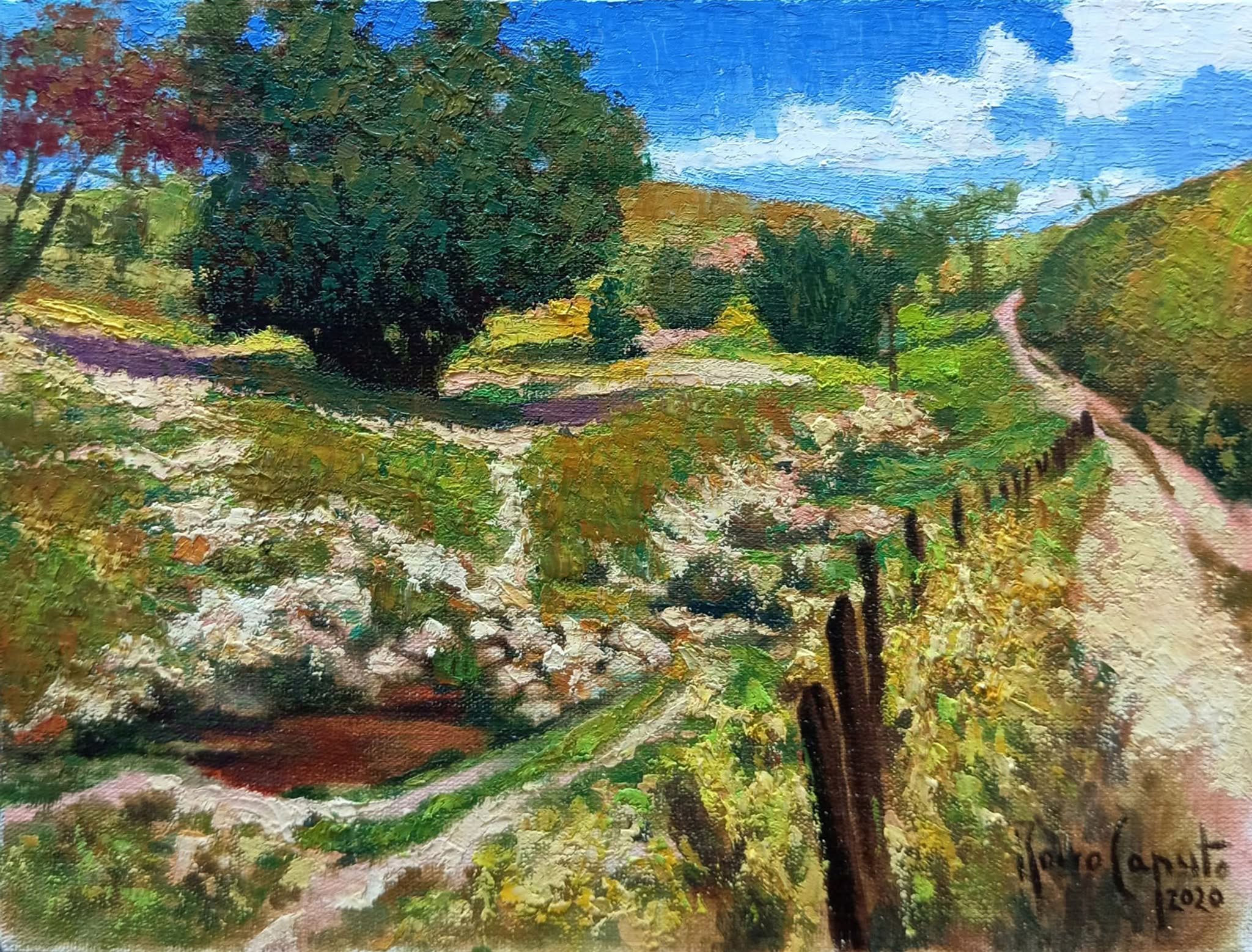 “Caminhos da roça”