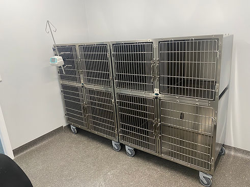 Cat Cages.JPG
