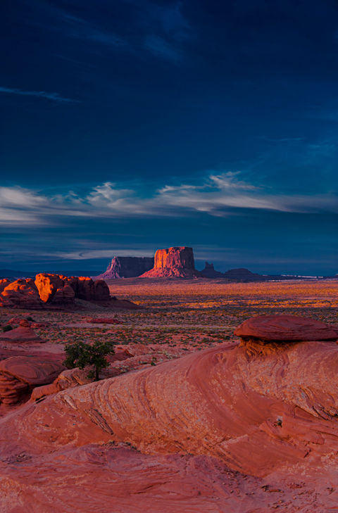 DSC_2336.jpg