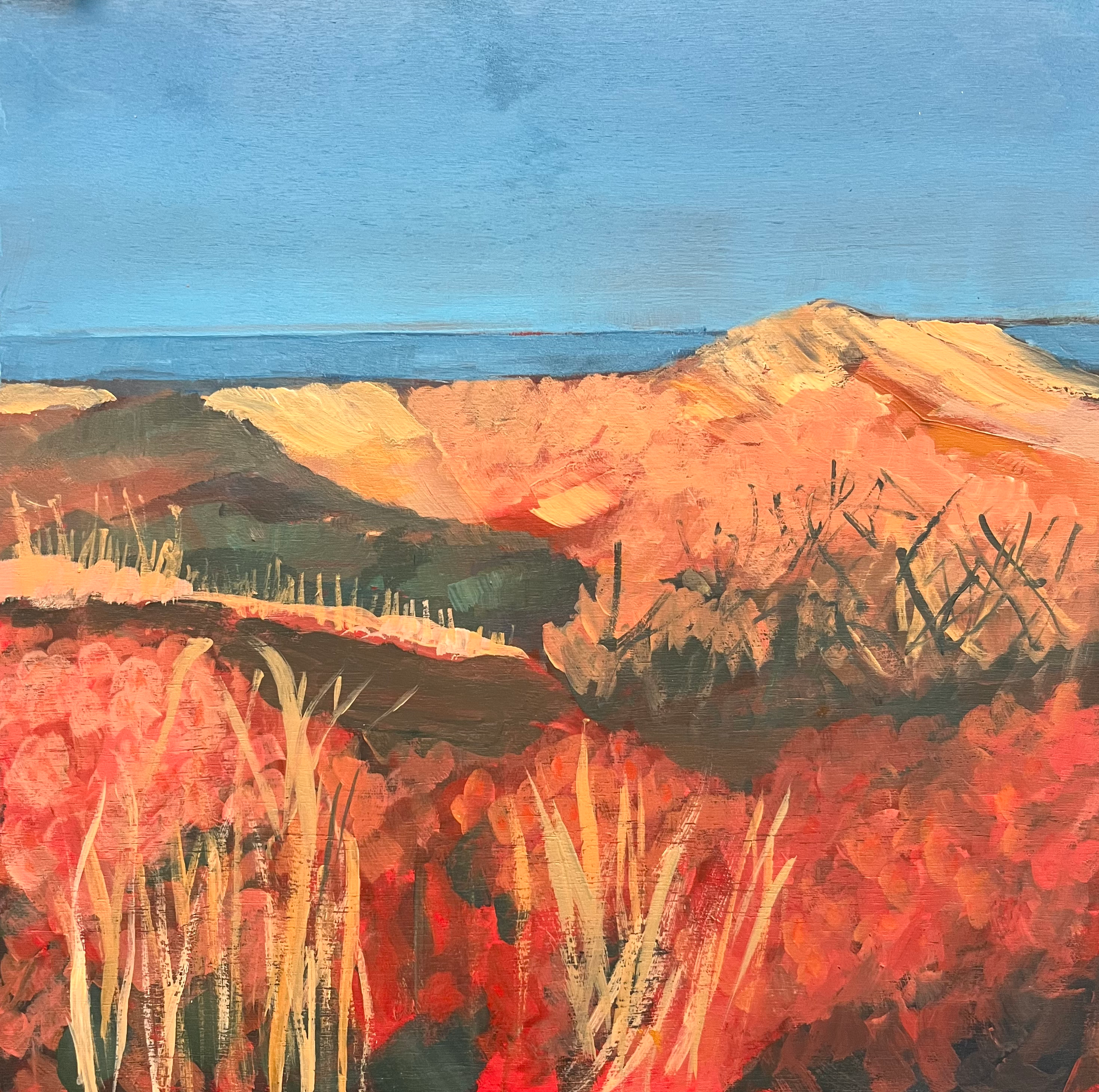 Over the Dunes
