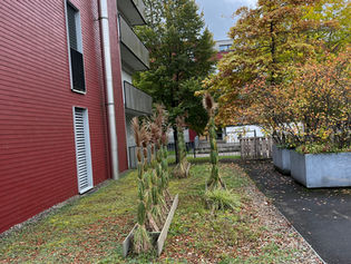 Das Gartenjahr nähert sich langsam dem Ende.