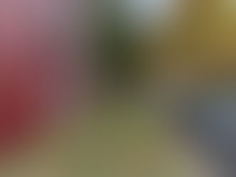 Das Gartenjahr nähert sich langsam dem Ende.