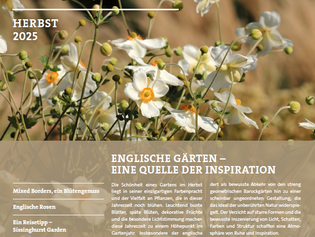 Gartenrevue Herbst 2025