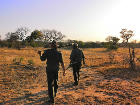 Sudafrica fai-da-te: questione sicurezza