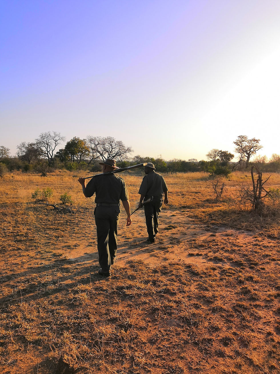ranger del parco al tramonto