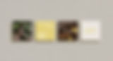 GUUT-_-Squares-Mockup_edited.jpg