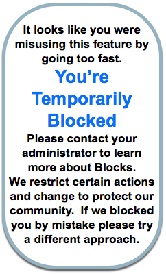 You're Temporarily Blocked