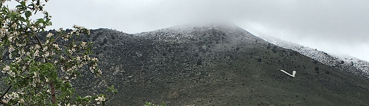 Untitled-1.jpg