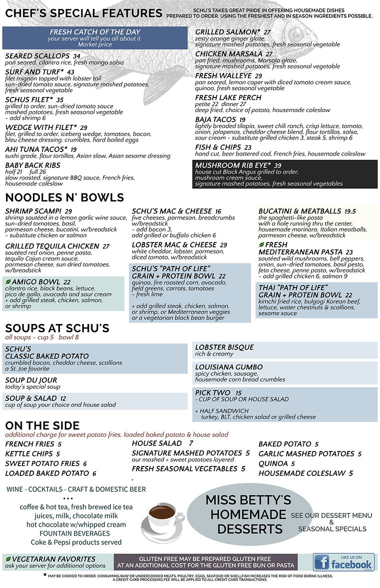 TABLOID 11X17 10 15 2025 FINAL SCHUS VERTICAL _page-2.jpg