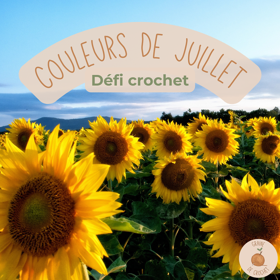 Journal de pousse 2 - Juillet 2024