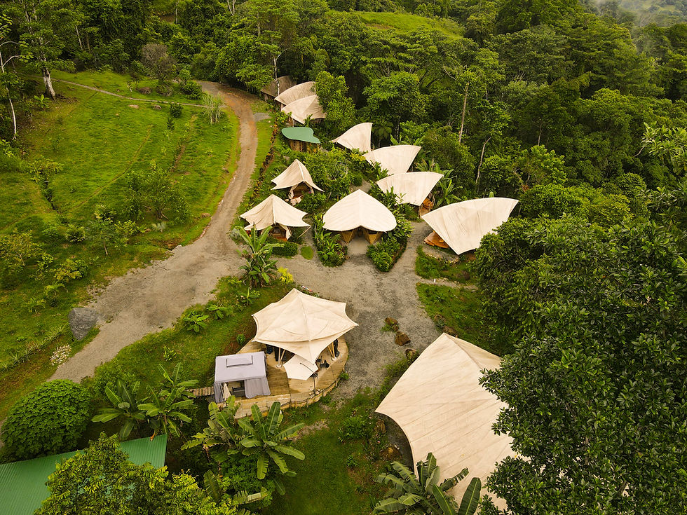 Proyecto construido en bambú
