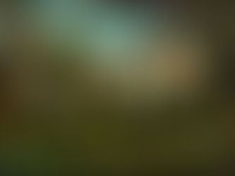 'JOSE LUIS SERZO' At the KIR ROYAL- Valencia