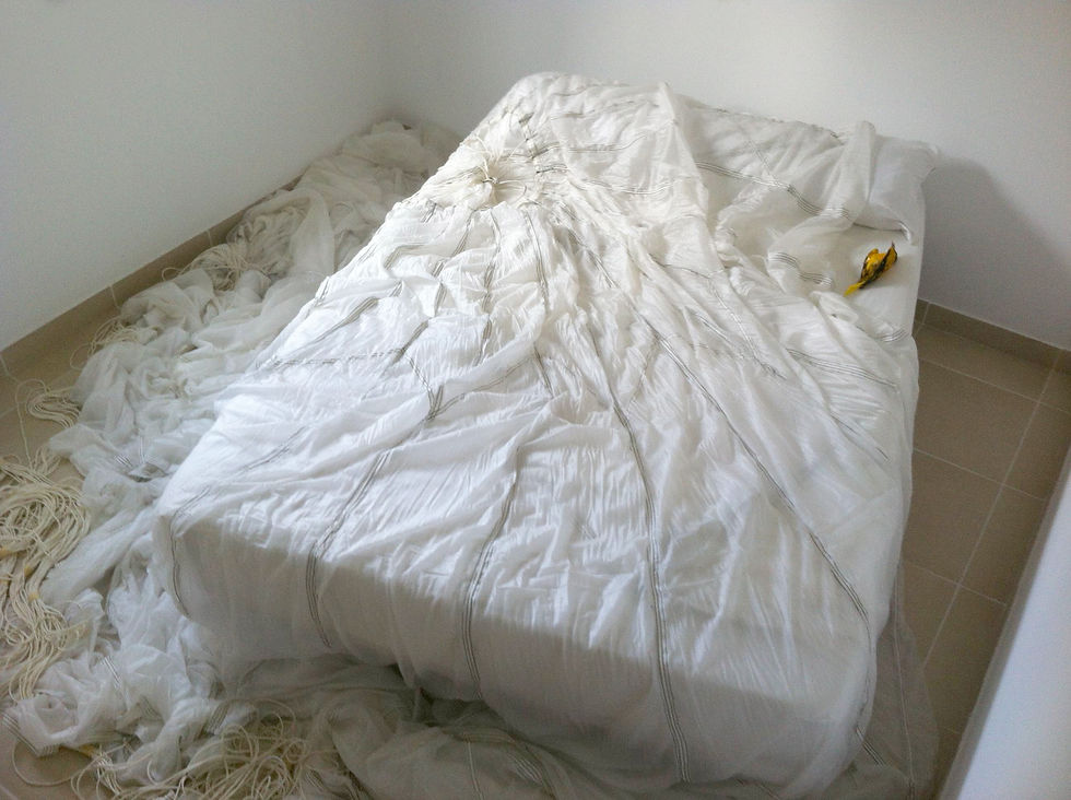 ¿Dónde mueren los pájaros?-01