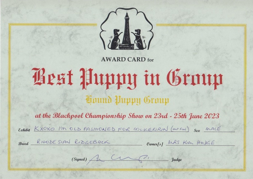 Blackpool 2023 Major wins the Puppy Hound Group!