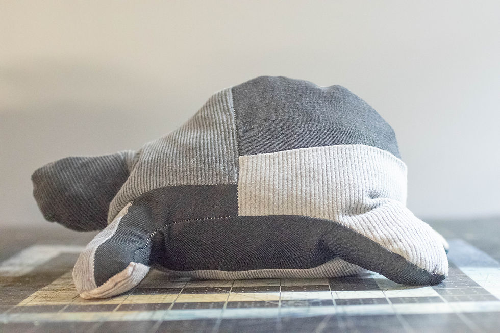 Thumbnail: Patchwork Turtle