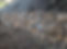 IMG_20190206_081659_Original.jpg