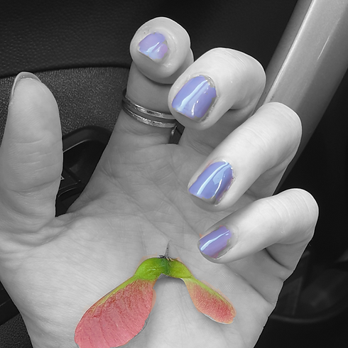 aviary-image-1560853107781_edited.png