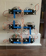 IMG_2717.jpeg