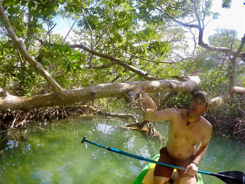 Lee DuCote Caye Caulker Author Blogger Adventure
