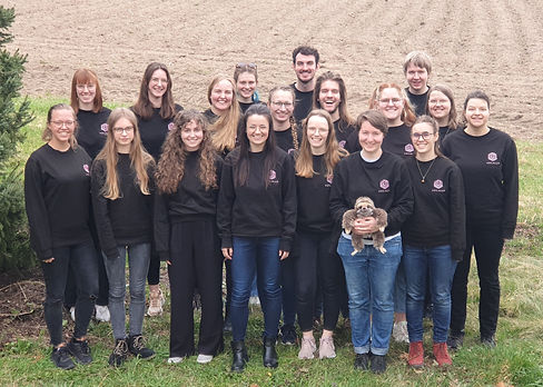 Gruppenfoto von VocalUp in den schwarzen Chorpullis mit Logo vor einem Feld.