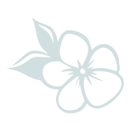 3. Mint Cherry Blossom.png