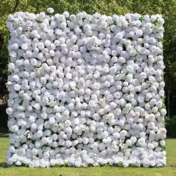 Screenshot 2025-03-18 140423 (1).avif