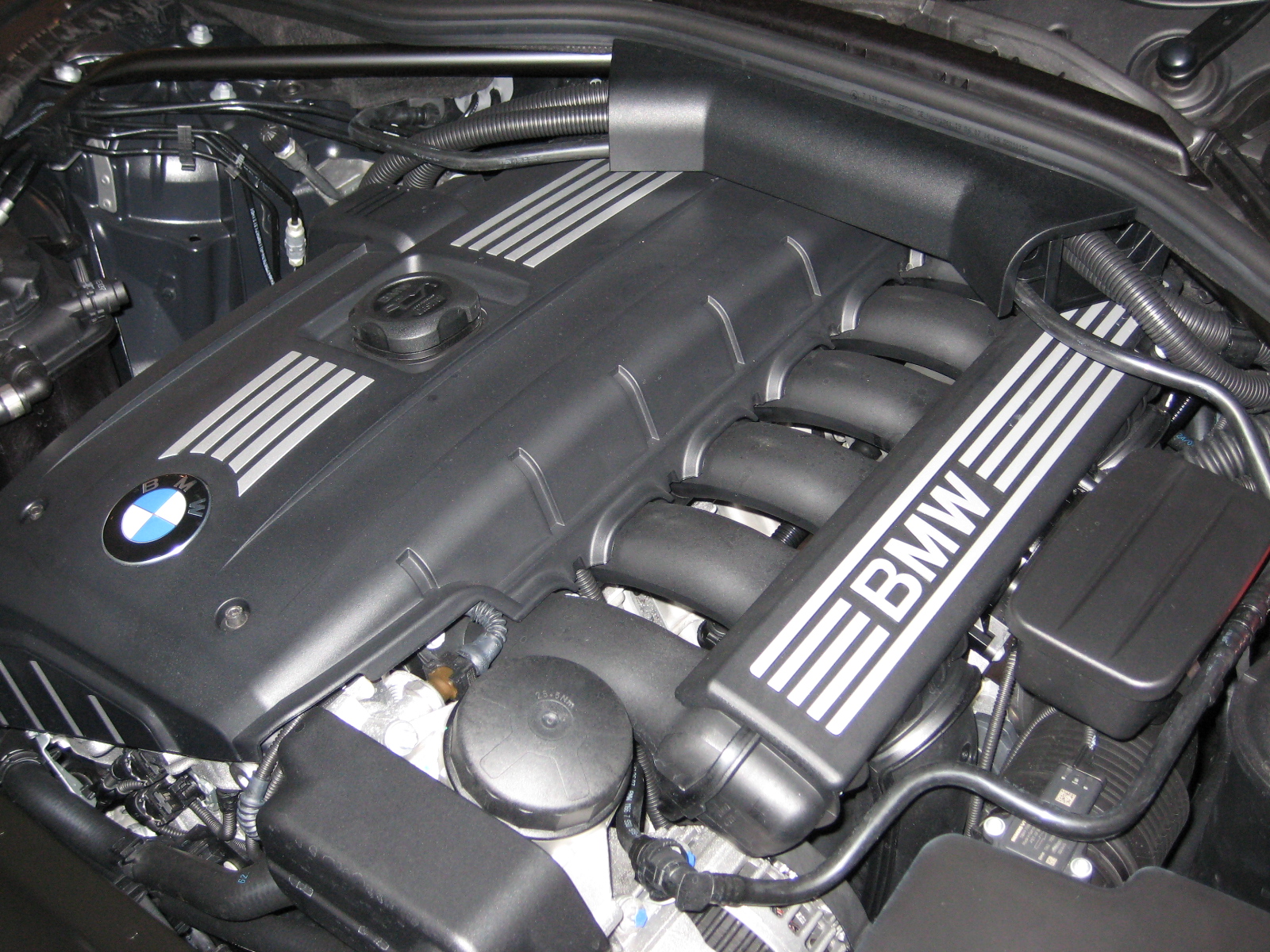 Photograph of a BMW N52B30A inline-six engine, representative BMW engine; not a Greg's Auto repair