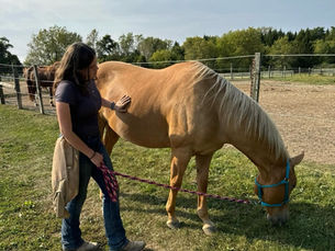 Troubled Youth in Salem Wisconsin
