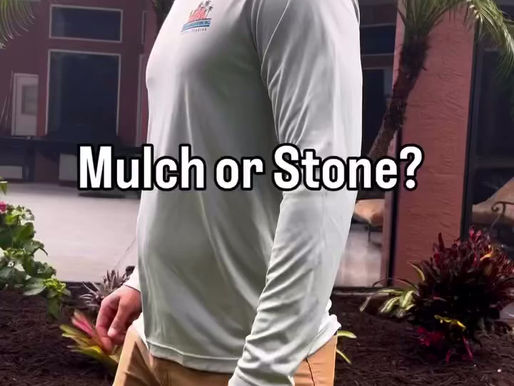Mulch vs. Rocks: Which Is Better for Your Naples, Florida Landscape?