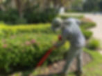 IMG_0734.jpeg