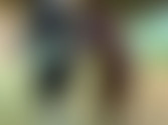 Nonprofit equine therapy